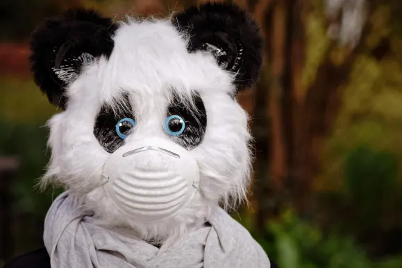 HeySpin Cazino Cazinou Suport